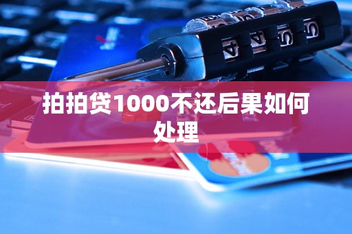 拍拍贷1000不还后果如何处理