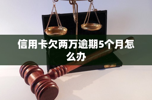 信用卡欠两万逾期5个月怎么办