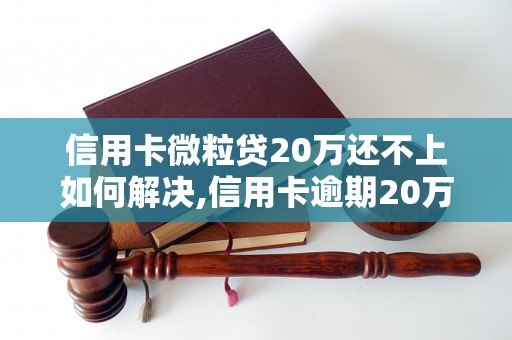 信用卡微粒贷20万还不上如何解决,信用卡逾期20万应该怎样处理