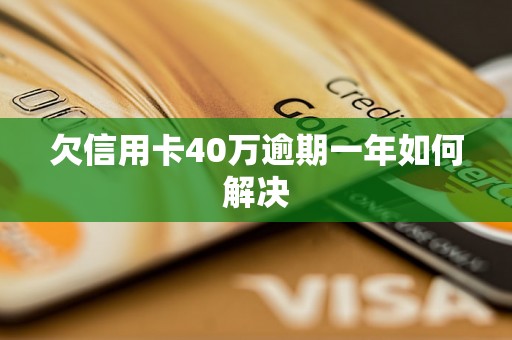 欠信用卡40万逾期一年如何解决