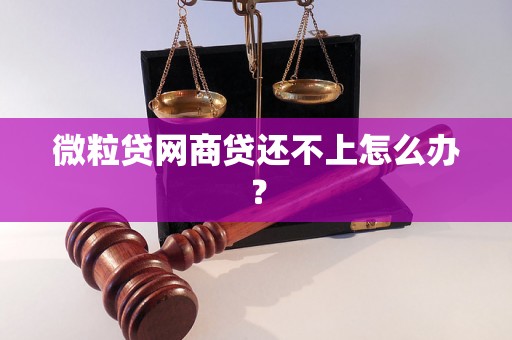 微粒贷网商贷还不上怎么办？