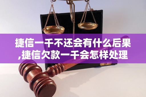 捷信一千不还会有什么后果,捷信欠款一千会怎样处理