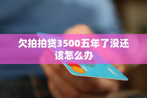 欠拍拍贷3500五年了没还该怎么办