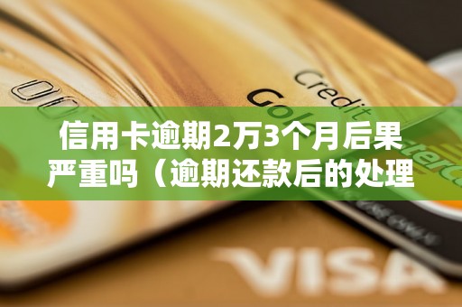 信用卡逾期2万3个月后果严重吗（逾期还款后的处理方法）