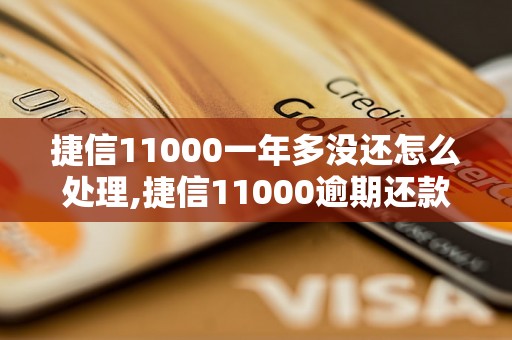 捷信11000一年多没还怎么处理,捷信11000逾期还款后果