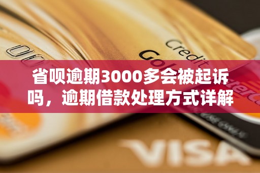 省呗逾期3000多会被起诉吗，逾期借款处理方式详解