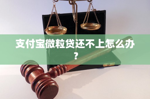 支付宝微粒贷还不上怎么办？