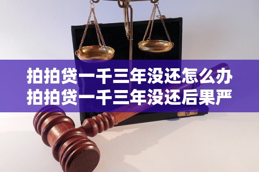 拍拍贷一千三年没还怎么办拍拍贷一千三年没还后果严重吗拍拍贷一千三年没还会被追究法律责任吗