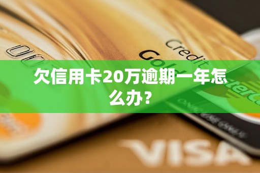 欠信用卡20万逾期一年怎么办？