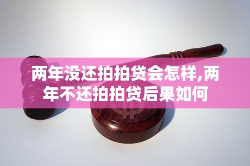 两年没还拍拍贷会怎样,两年不还拍拍贷后果如何