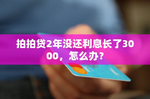 拍拍贷2年没还利息长了3000，怎么办？