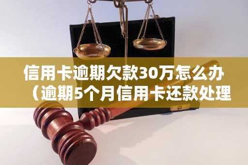 信用卡逾期欠款30万怎么办（逾期5个月信用卡还款处理方法）