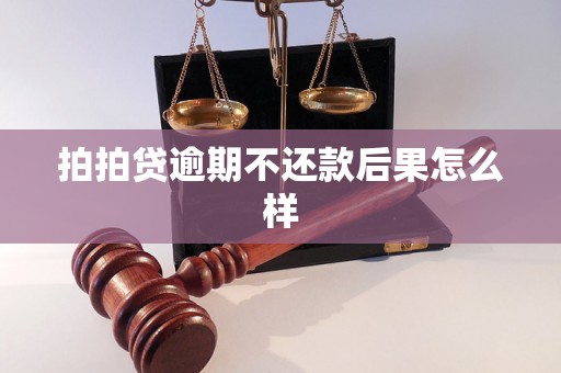 拍拍贷逾期不还款后果怎么样