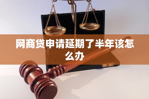 网商贷申请延期了半年该怎么办