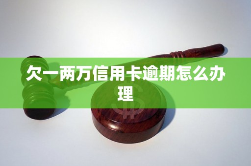 欠一两万信用卡逾期怎么办理