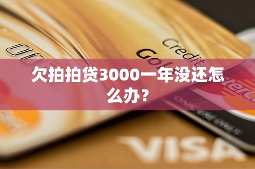 欠拍拍贷3000一年没还怎么办？