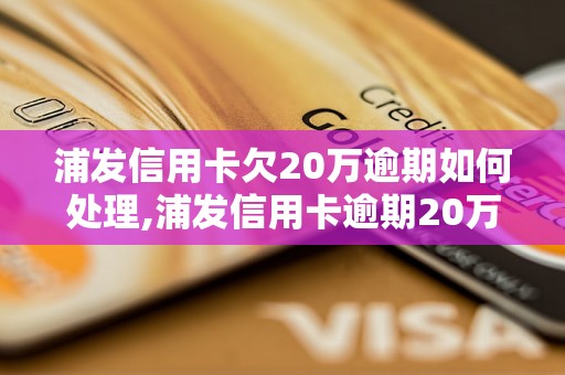 浦发信用卡欠20万逾期如何处理,浦发信用卡逾期20万的后果