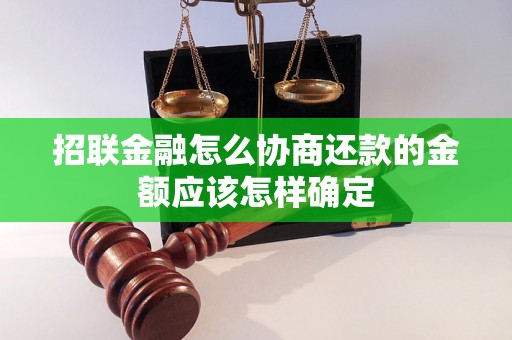 招联金融怎么协商还款的金额应该怎样确定