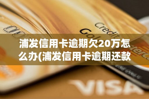 浦发信用卡逾期欠20万怎么办(浦发信用卡逾期还款方法)