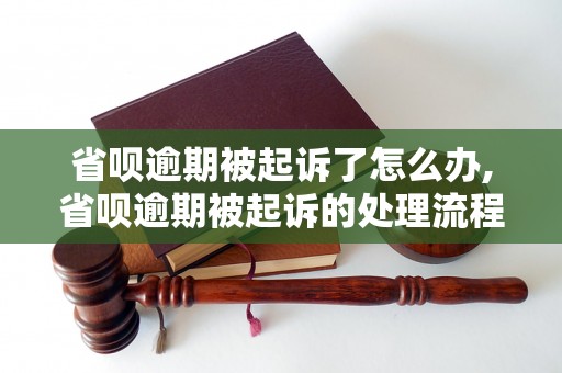 省呗逾期被起诉了怎么办,省呗逾期被起诉的处理流程