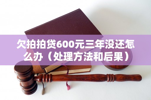 欠拍拍贷600元三年没还怎么办（处理方法和后果）