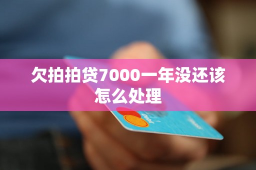 欠拍拍贷7000一年没还该怎么处理