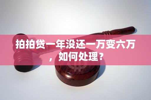 拍拍贷一年没还一万变六万，如何处理？