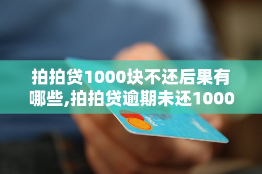 拍拍贷1000块不还后果有哪些,拍拍贷逾期未还1000块会发生什么