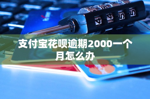 支付宝花呗逾期2000一个月怎么办