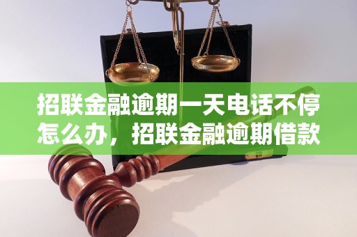 招联金融逾期一天电话不停怎么办，招联金融逾期借款电话骚扰如何应对