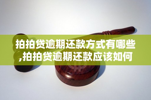 拍拍贷逾期还款方式有哪些,拍拍贷逾期还款应该如何处理