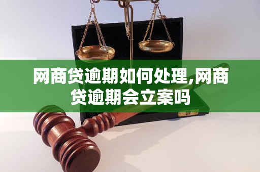 网商贷逾期如何处理,网商贷逾期会立案吗