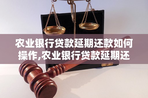 农业银行贷款延期还款如何操作,农业银行贷款延期还款条件