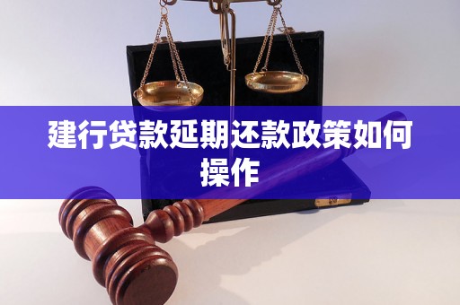 建行贷款延期还款政策如何操作