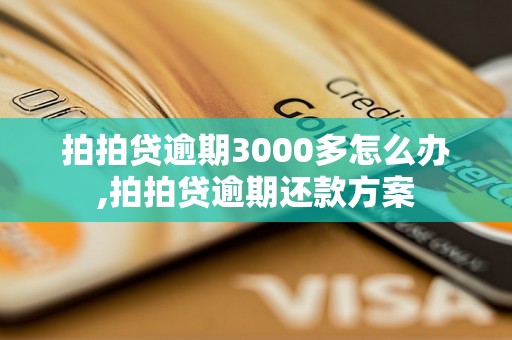 拍拍贷逾期3000多怎么办,拍拍贷逾期还款方案