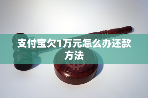 支付宝欠1万元怎么办还款方法