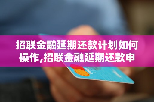 招联金融延期还款计划如何操作,招联金融延期还款申请流程详解