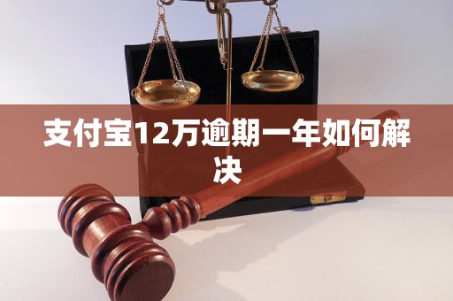 支付宝12万逾期一年如何解决