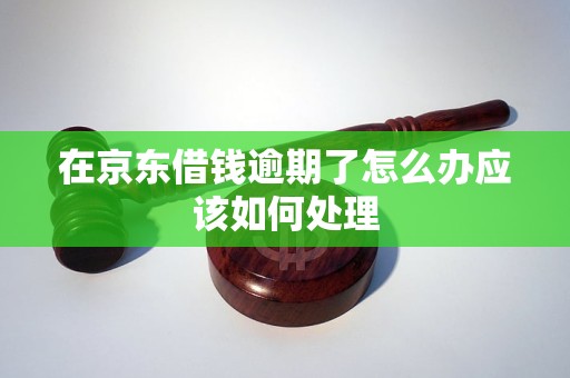 在京东借钱逾期了怎么办应该如何处理