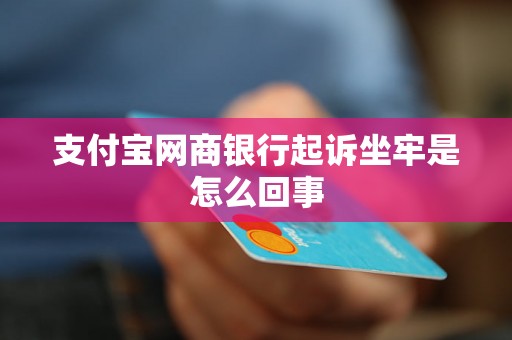 支付宝网商银行起诉坐牢是怎么回事