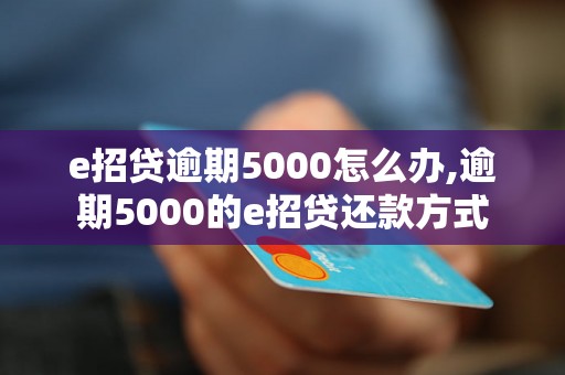 e招贷逾期5000怎么办,逾期5000的e招贷还款方式