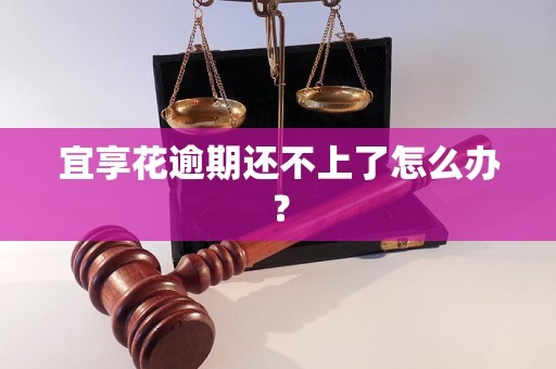 宜享花逾期还不上了怎么办？