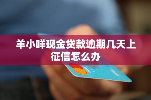 羊小咩现金贷款逾期几天上征信怎么办