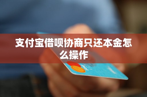 支付宝借呗协商只还本金怎么操作