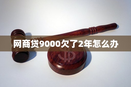 网商贷9000欠了2年怎么办