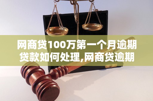 网商贷100万第一个月逾期贷款如何处理,网商贷逾期后果及解决方法