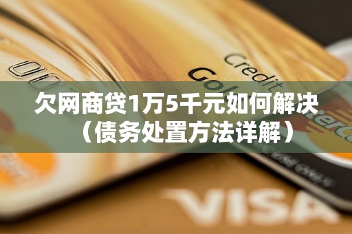 欠网商贷1万5千元如何解决（债务处置方法详解）