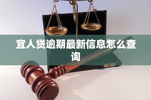 宜人贷逾期最新信息怎么查询