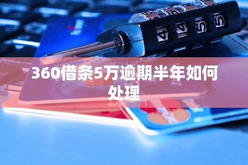 360借条5万逾期半年如何处理