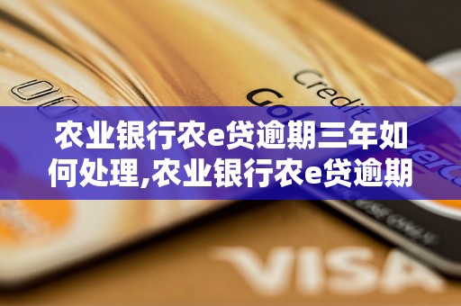 农业银行农e贷逾期三年如何处理,农业银行农e贷逾期还款解决办法